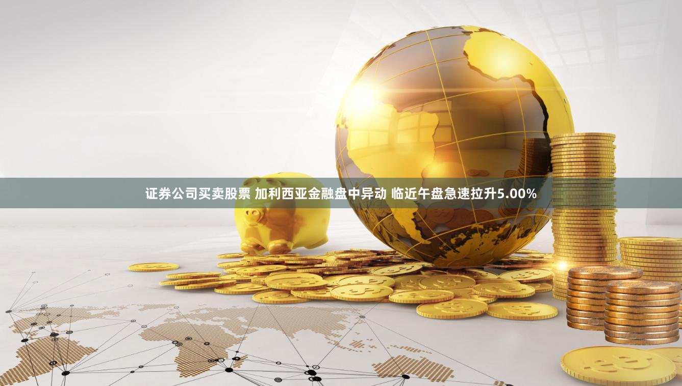 证券公司买卖股票 加利西亚金融盘中异动 临近午盘急速拉升5.00%