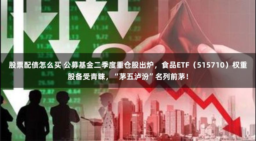 股票配债怎么买 公募基金二季度重仓股出炉，食品ETF（515710）权重股备受青睐，“茅五泸汾”名列前茅！